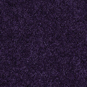Weston Hill 12' Persian Violet